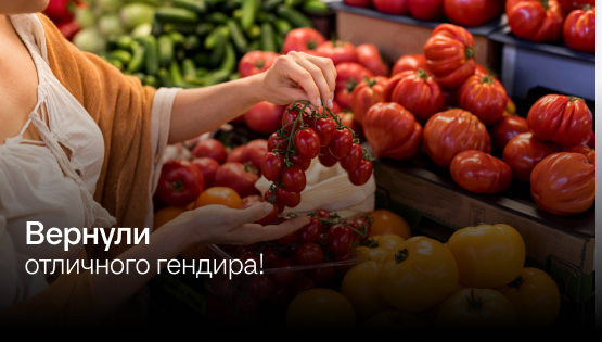 Из-за&nbspдиректора по&nbspразвитию отложили запуск франшизы